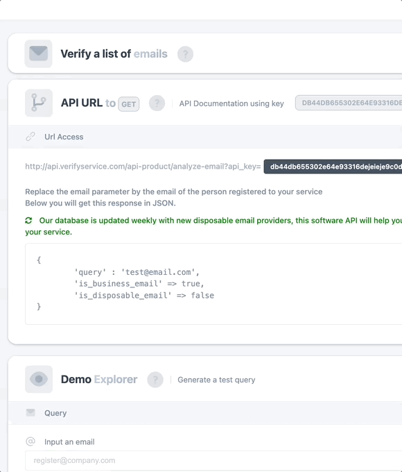 Email Verifier product interface